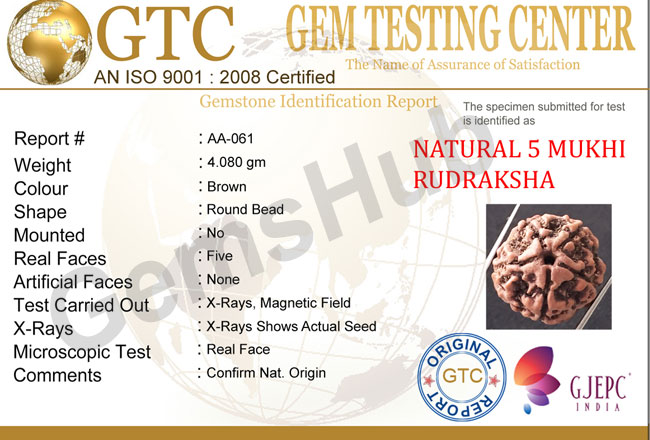 5 Mukhi Natural Certified Rudraksha Size- 20.5 mm Premium
